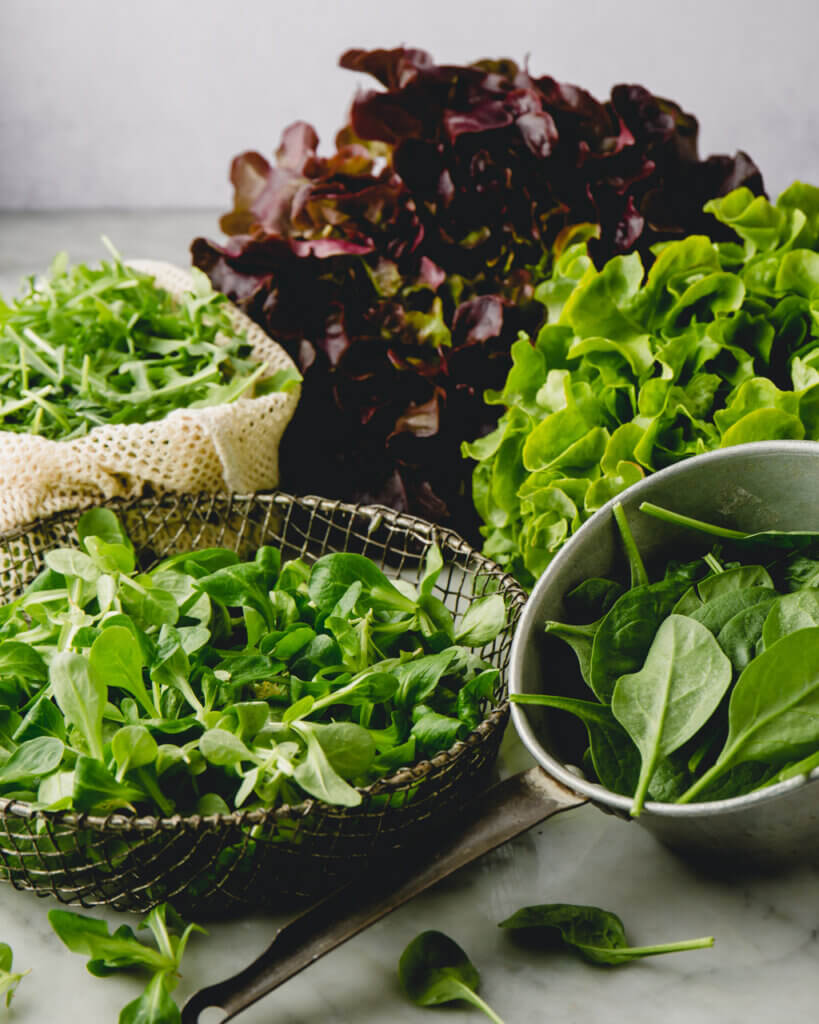 Frisch gewaschene grüne Salate im Sieb